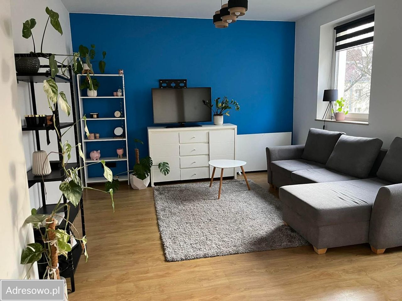 Mieszkanie 1-pokojowe Bolesławiec Centrum, rynek Rynek. Zdjęcie 7