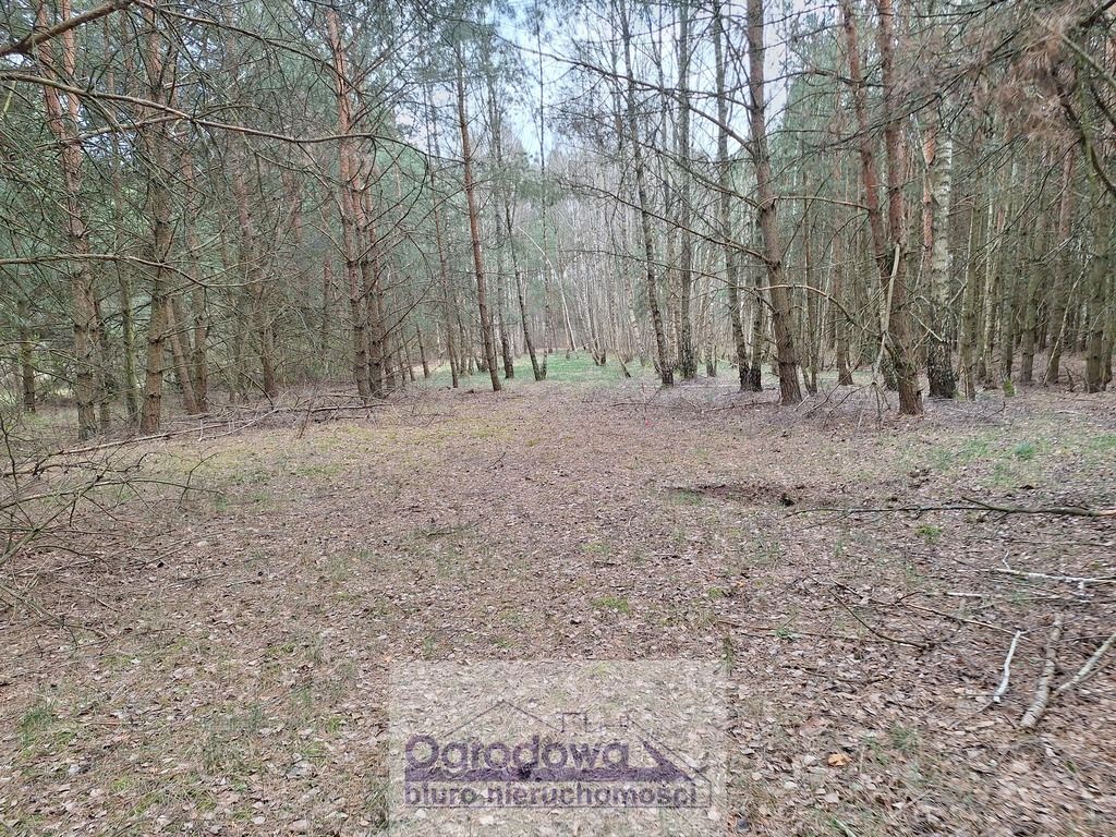 Działka Kamieńczyk. Zdjęcie 2