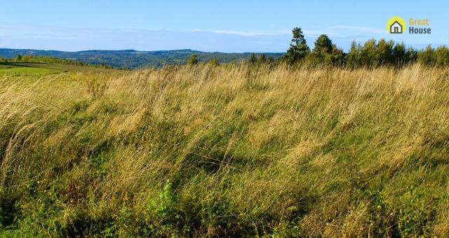 Działka inwestycyjna Golcowa. Zdjęcie 4