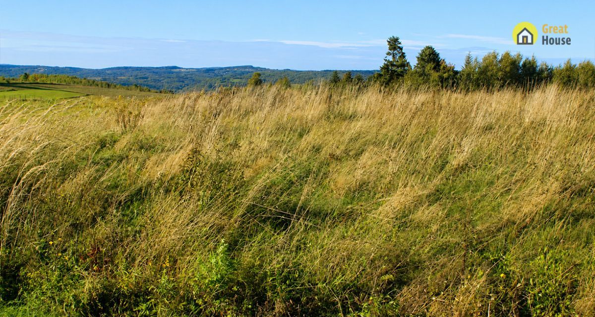 Działka inwestycyjna Golcowa. Zdjęcie 4