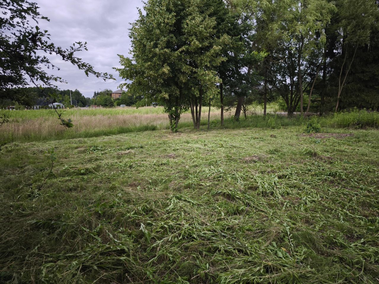 Działka budowlana Nowe Żukowice Gołębin. Zdjęcie 6