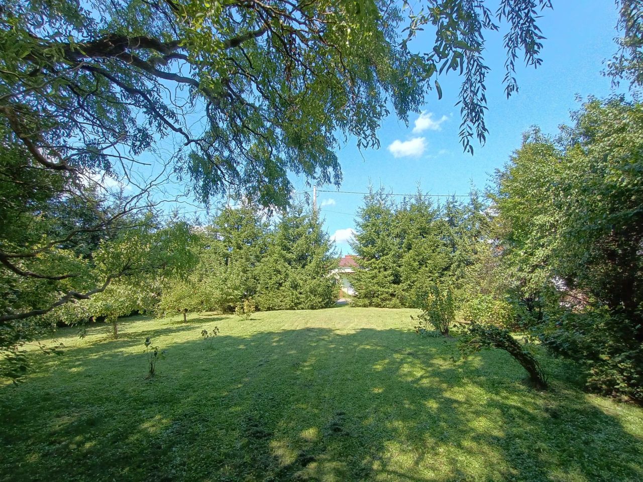 Działka rolno-budowlana Horodło, ul. Królowej Jadwigi. Zdjęcie 7