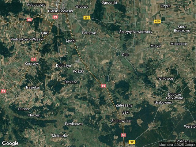 Działka leśna Paszkowszczyzna. Zdjęcie 1