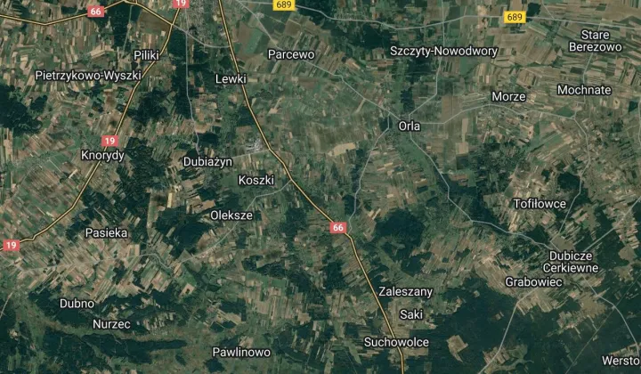 Działka leśna Paszkowszczyzna