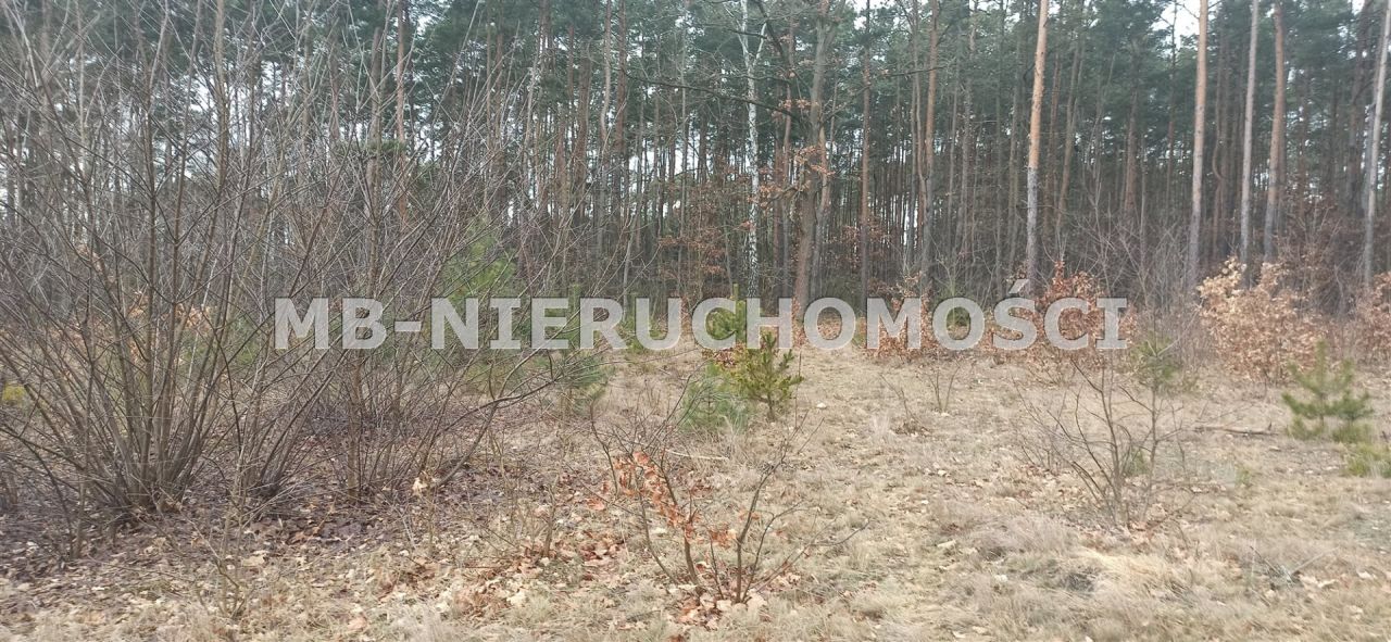 Działka budowlana Zakręt. Zdjęcie 4