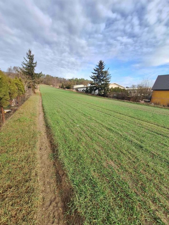 Działka rolna Dymaczewo Stare. Zdjęcie 6