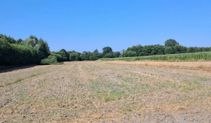 Działka rolna Kawęczyn