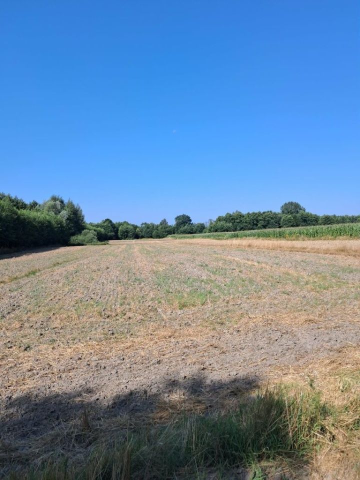 Działka rolna Kawęczyn. Zdjęcie 1
