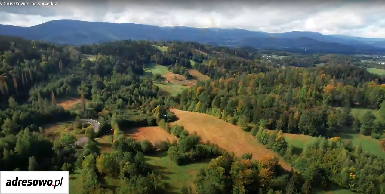 Działka rolno-budowlana Gruszków. Zdjęcie 2