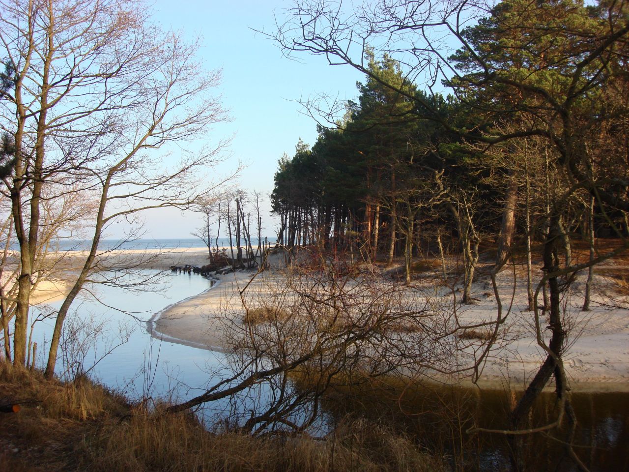 Działka rolna Dębki. Zdjęcie 4