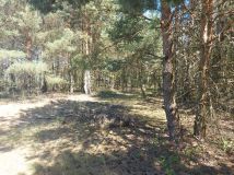 Działka siedliskowa Dąbrowa. Zdjęcie 1