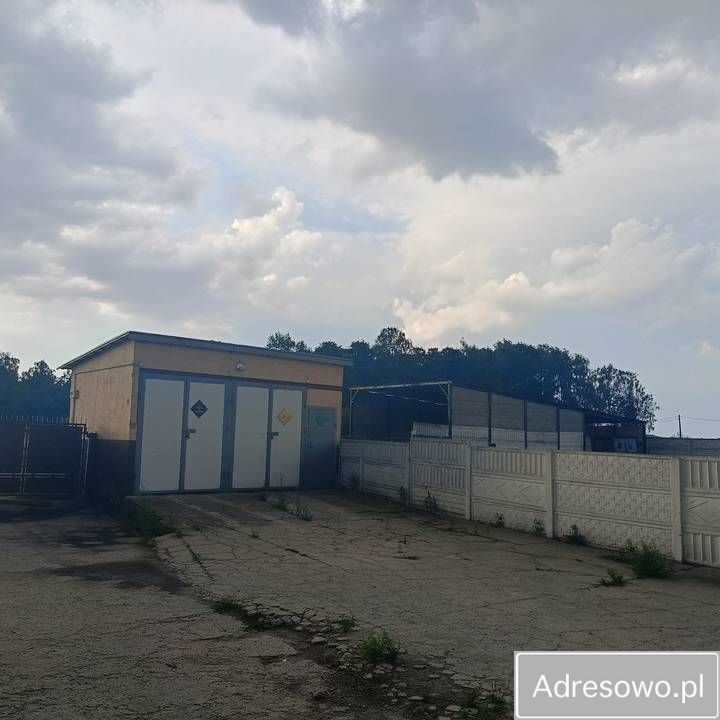 Hala/magazyn Ślubowo. Zdjęcie 2