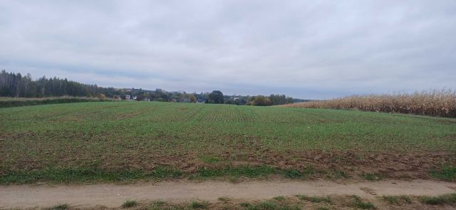 Działka budowlana Smolice. Zdjęcie 1