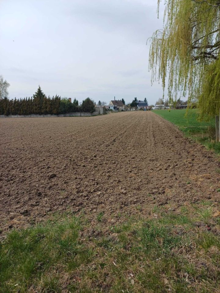 Działka rolno-budowlana Przygodzice, ul. Bursztynowa. Zdjęcie 4