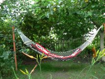 Działka rod Łódź Widzew, ul. Pomorska. Zdjęcie 1