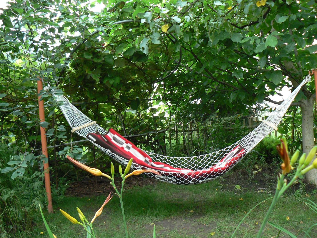 Działka rod Łódź Widzew, ul. Pomorska. Zdjęcie 2