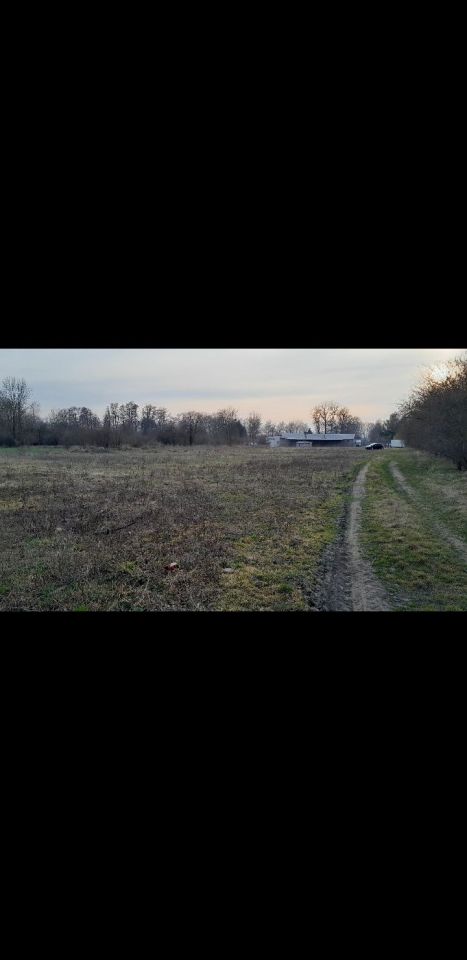Działka budowlana Krzykosy. Zdjęcie 3