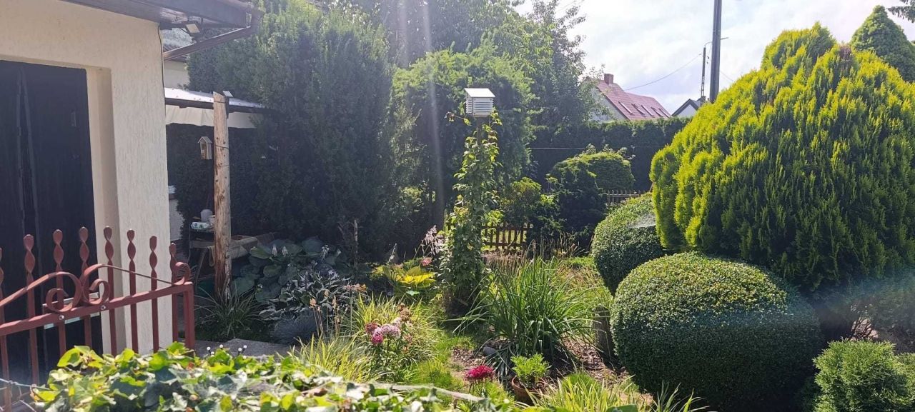 dom wolnostojący Dobre. Zdjęcie 8