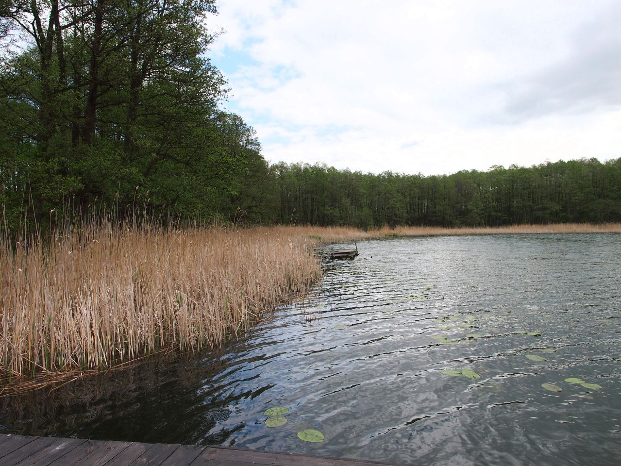 Działka rolna Swobodna. Zdjęcie 9