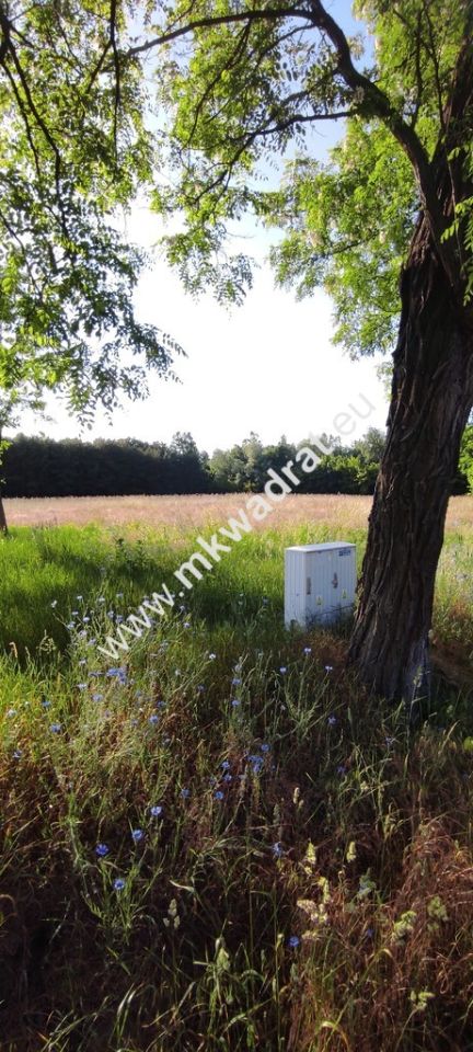 Działka budowlana Chrzczany. Zdjęcie 2