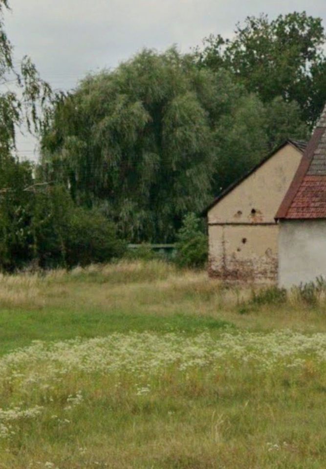 Działka budowlana Opole Borki. Zdjęcie 4