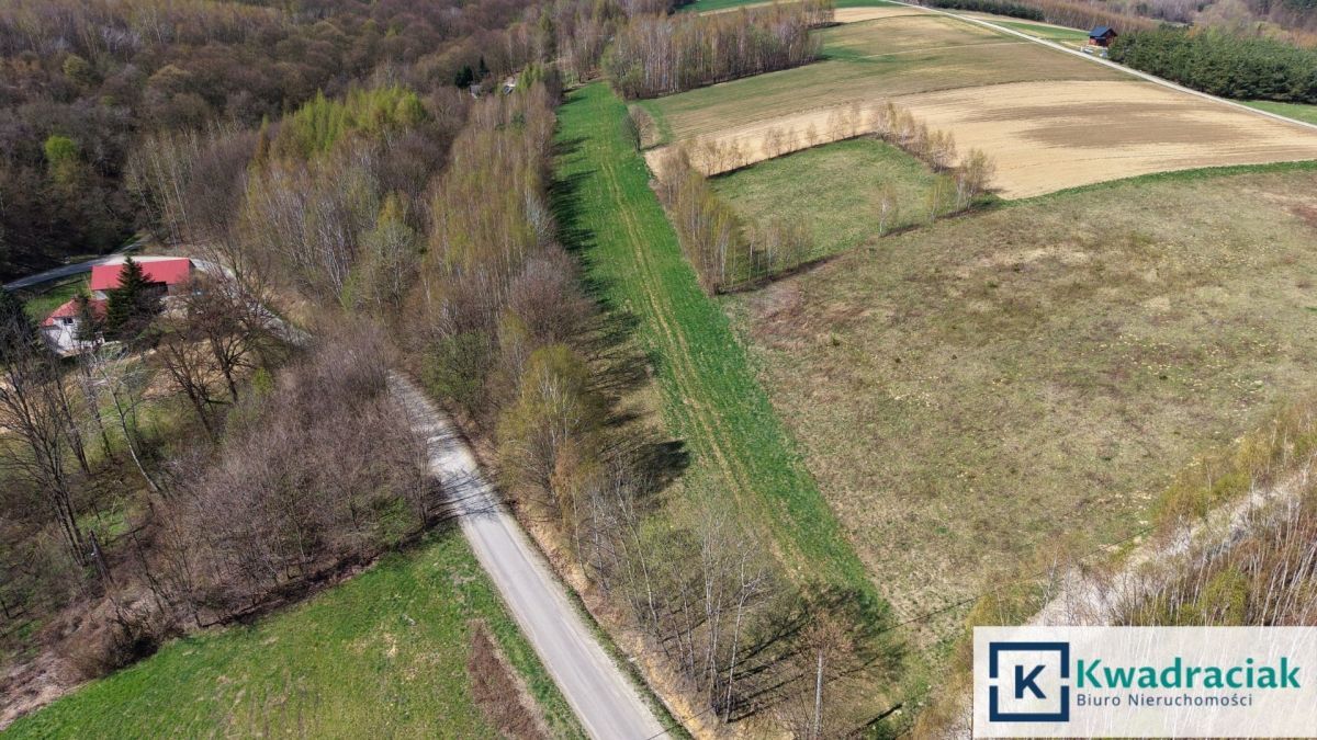 Działka rolna Lublica. Zdjęcie 2