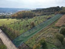 Działka rolno-budowlana Pruchnik Pruchnik Górny, ul. Miodowa. Zdjęcie 3
