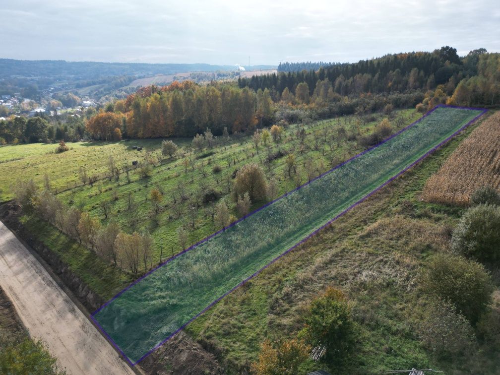 Działka rolno-budowlana Pruchnik Pruchnik Górny, ul. Miodowa. Zdjęcie 4