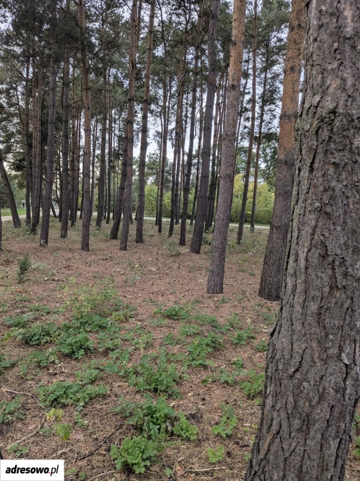 Działka rekreacyjna Starowola, ul. Graniczna. Zdjęcie 7