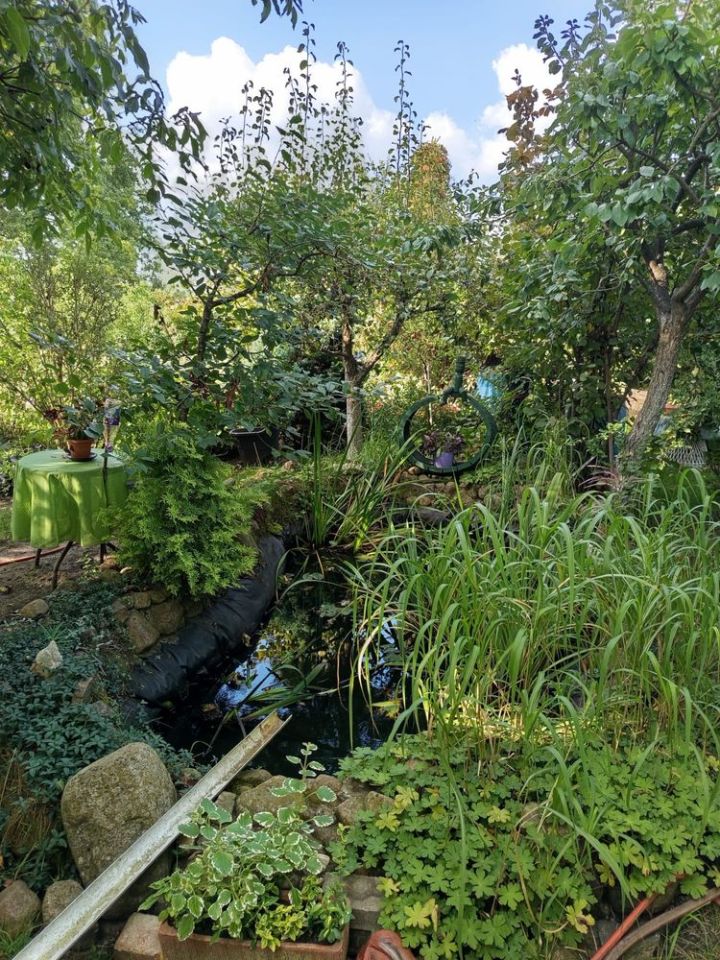 Działka rod Słubice, ul. Wojska Polskiego. Zdjęcie 2