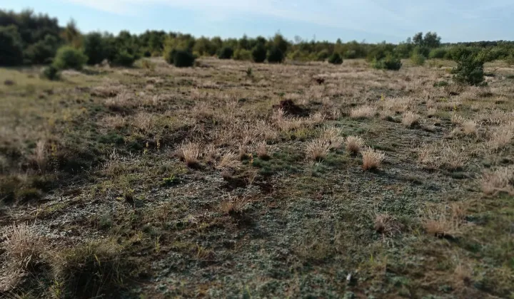 Działka rolna Załom