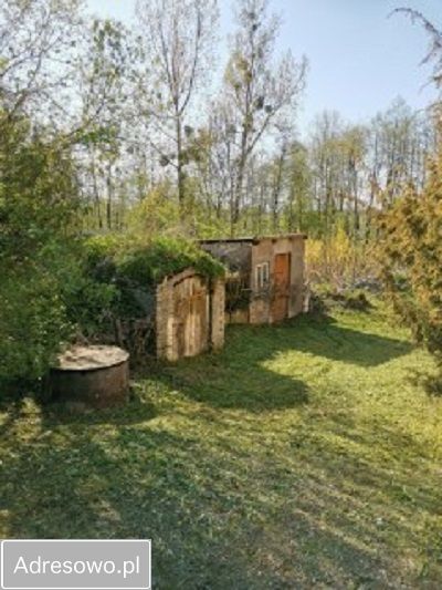 siedlisko, 2 pokoje Raszewo Włościańskie. Zdjęcie 12