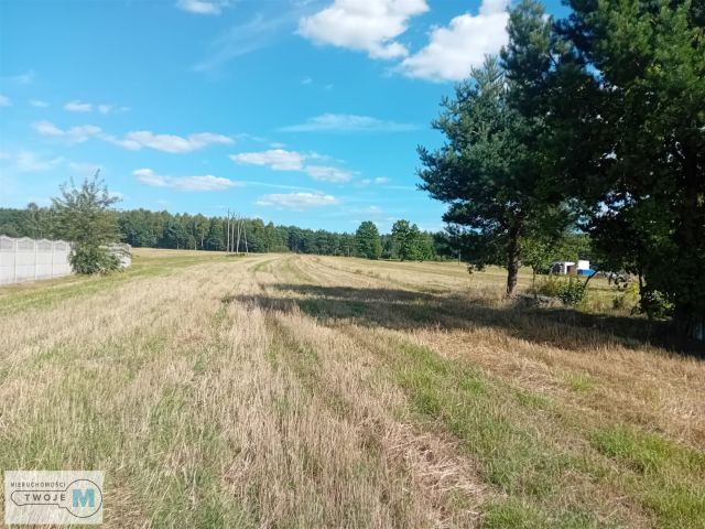 dom wolnostojący, 3 pokoje Daleszyce. Zdjęcie 15