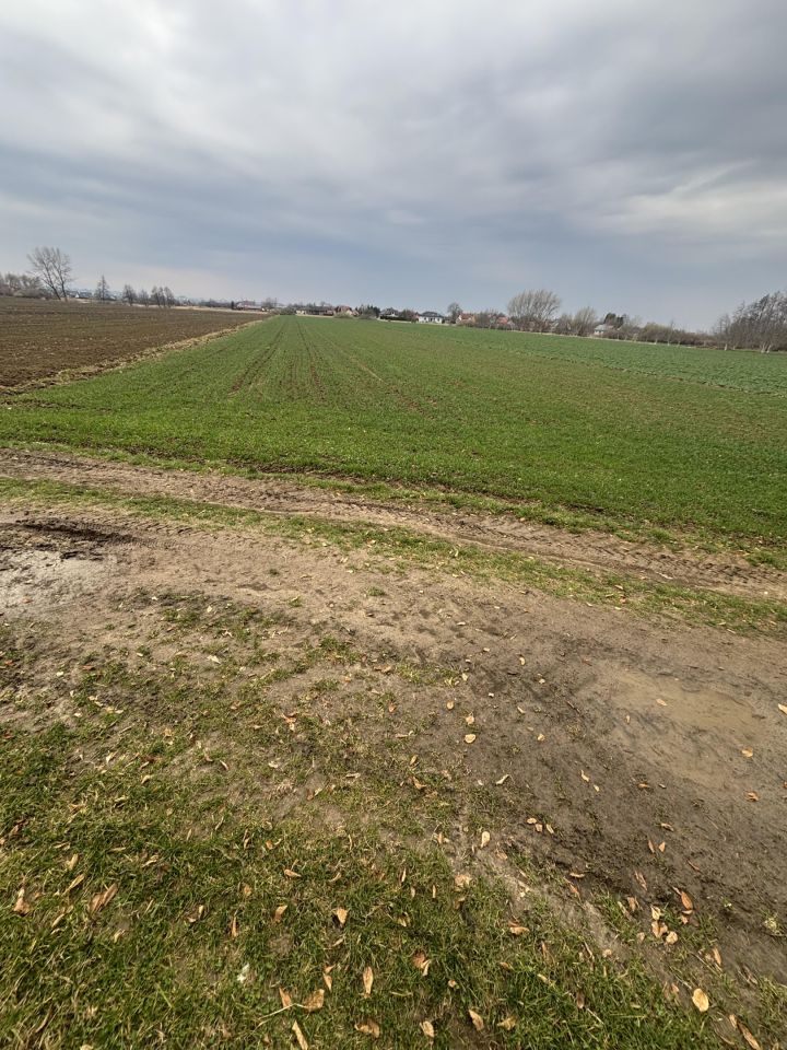 Działka rolna Koniaczów. Zdjęcie 2