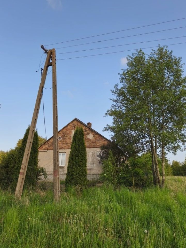 gospodarstwo Udryn. Zdjęcie 8