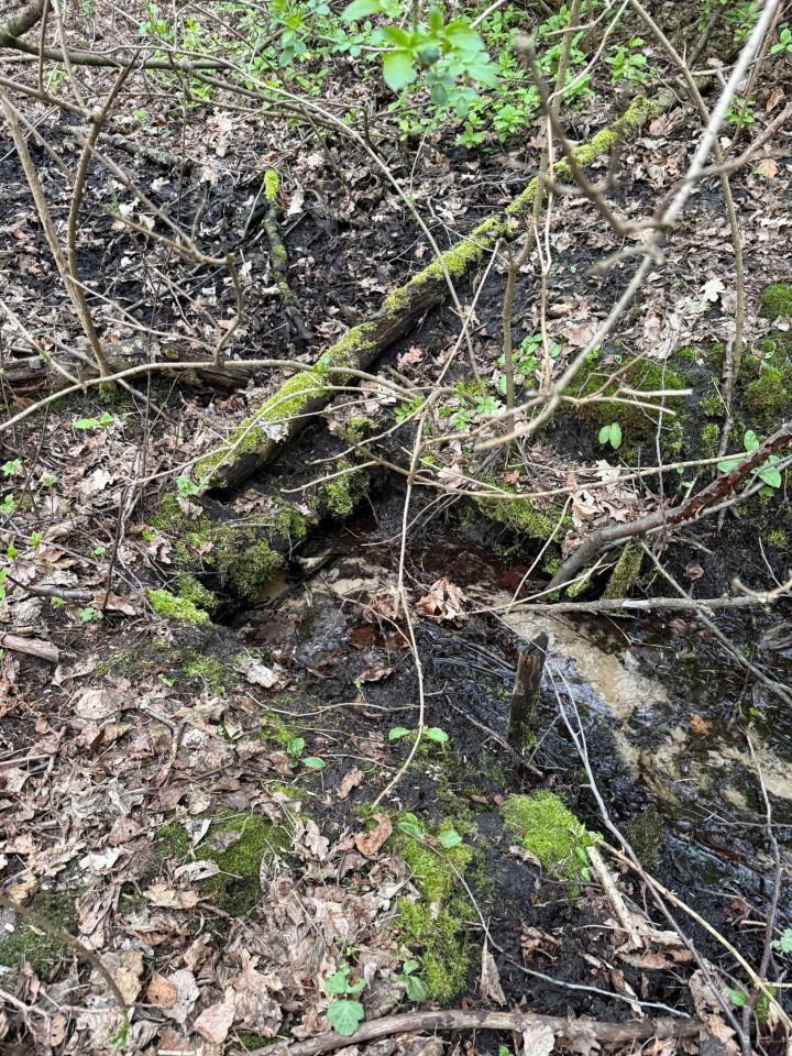 Działka rekreacyjna Potoczek. Zdjęcie 5