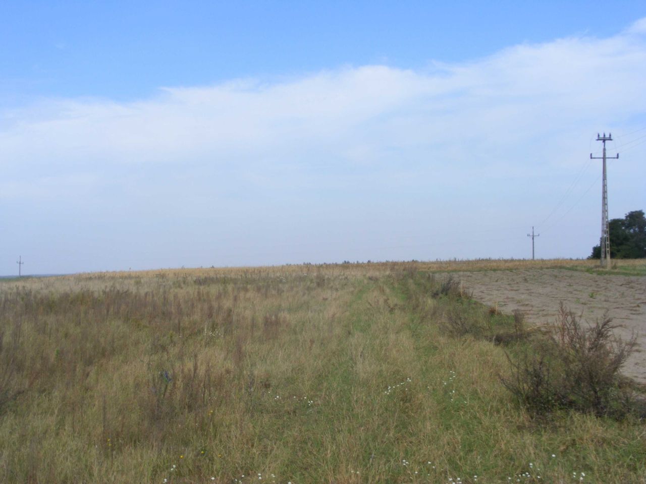 Działka rolno-budowlana Stanisławka. Zdjęcie 2