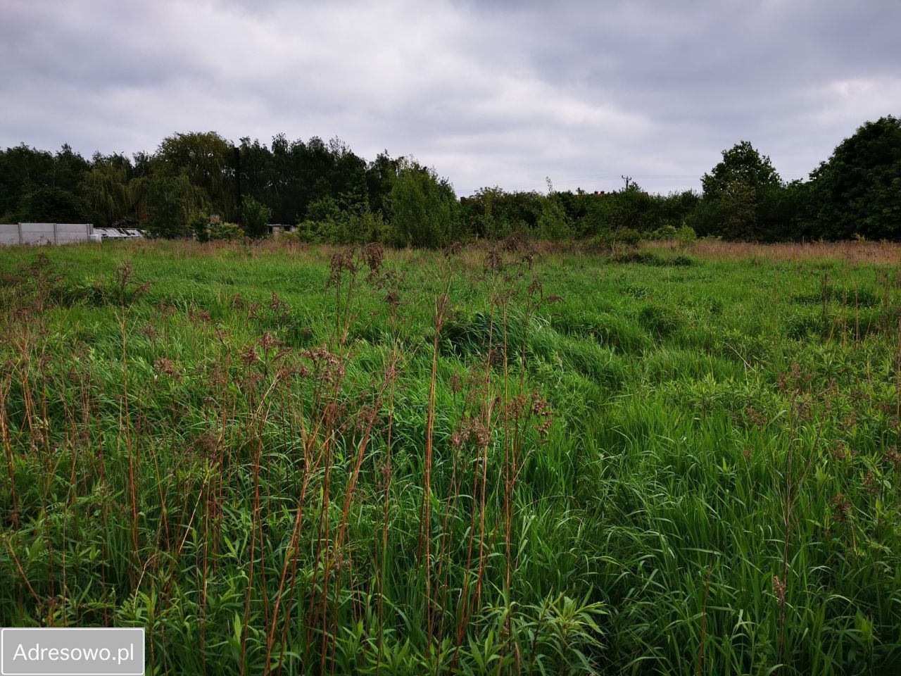 Działka inwestycyjna Wrocław Psie Pole, ul. Polanowicka. Zdjęcie 9