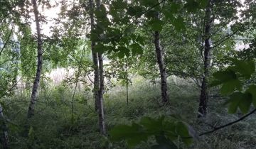 Działka rolno-budowlana Husów