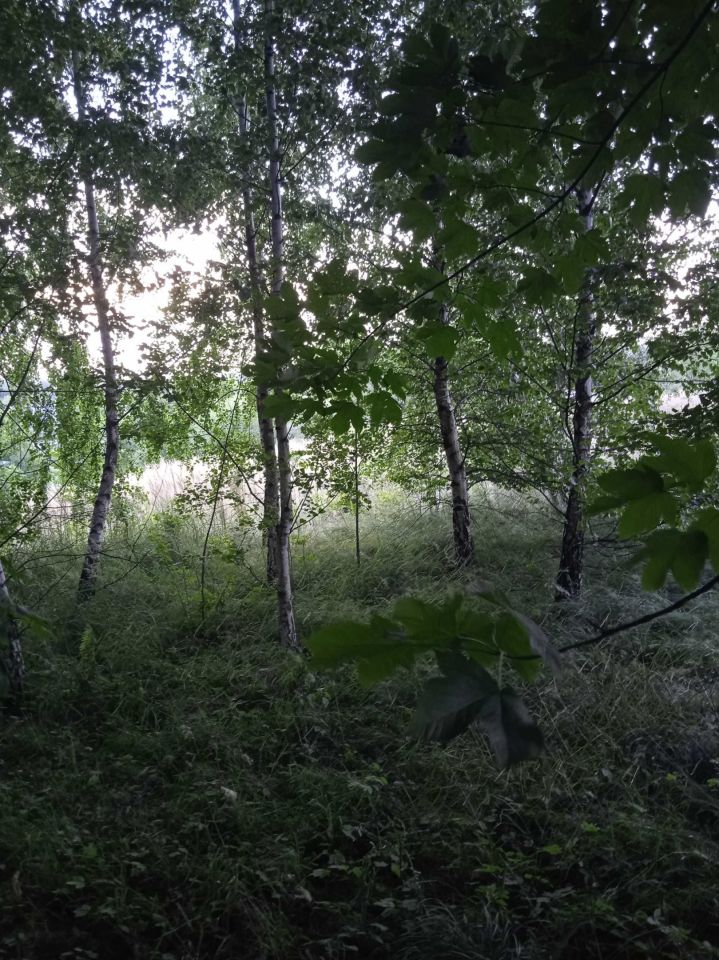 Działka rolno-budowlana Husów. Zdjęcie 2