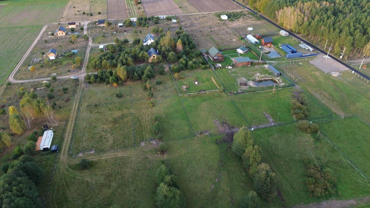 Działka rekreacyjna Napiórki Butne. Zdjęcie 12