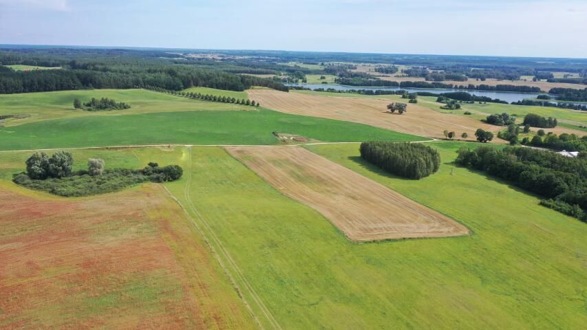 Działka budowlana Orło. Zdjęcie 5