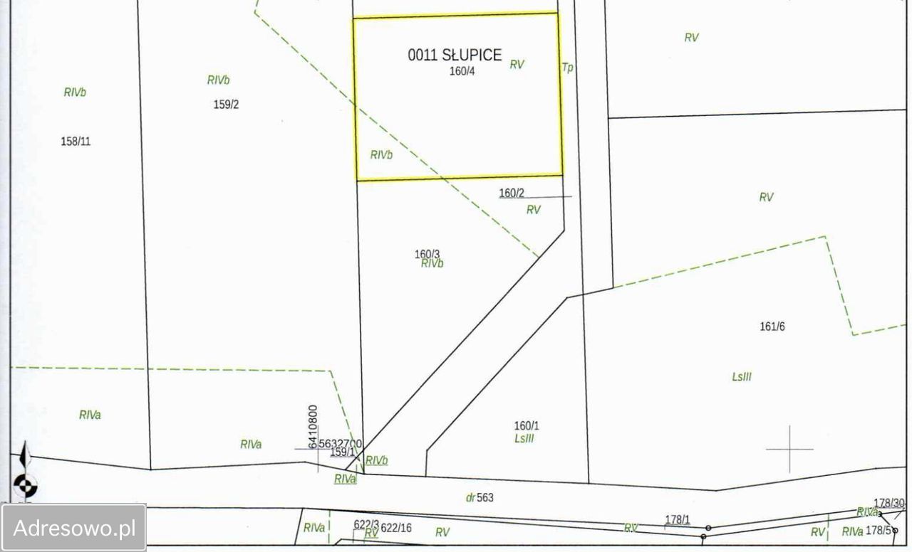 Działka leśna Słupice, ul. Złoty Widok. Zdjęcie 3