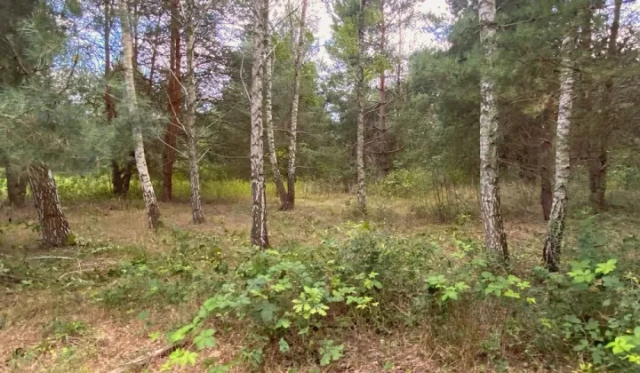 Działka budowlana Uwieliny, ul. Spokojna