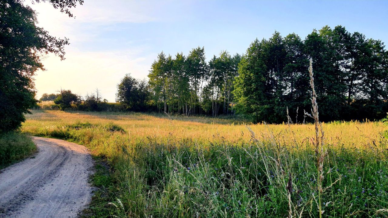 Działka rolna Leleszki. Zdjęcie 2