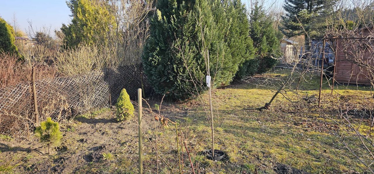 Działka rod Leszno. Zdjęcie 6