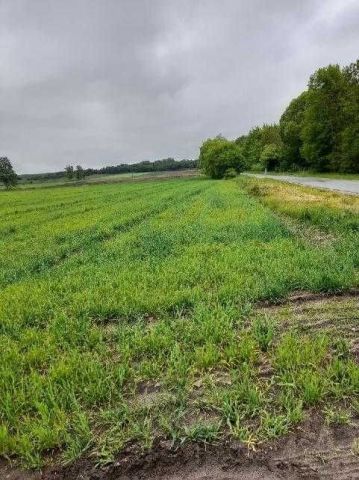Działka budowlana Jadwiżyn. Zdjęcie 1