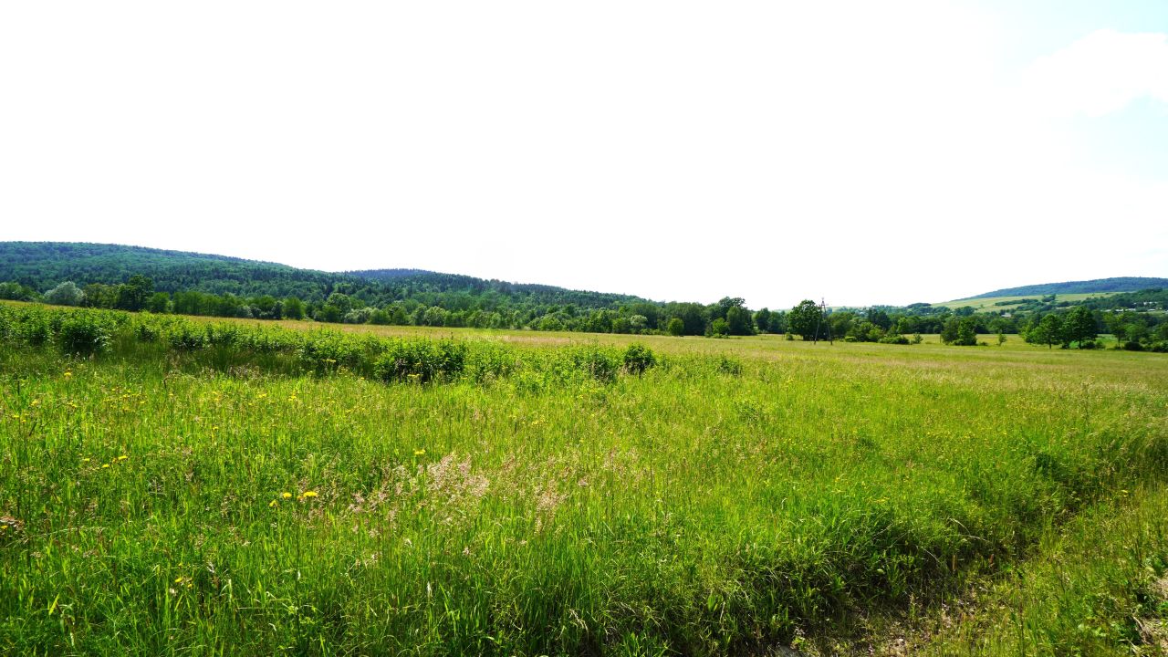 dom wolnostojący, 5 pokoi Wapienne. Zdjęcie 11