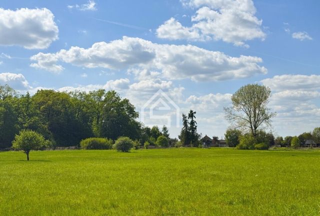 Działka rolna Wola Batorska. Zdjęcie 2