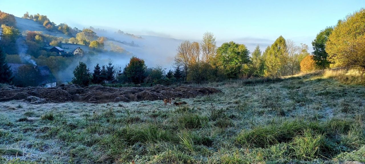 Działka budowlana Jaszkowa Górna. Zdjęcie 8